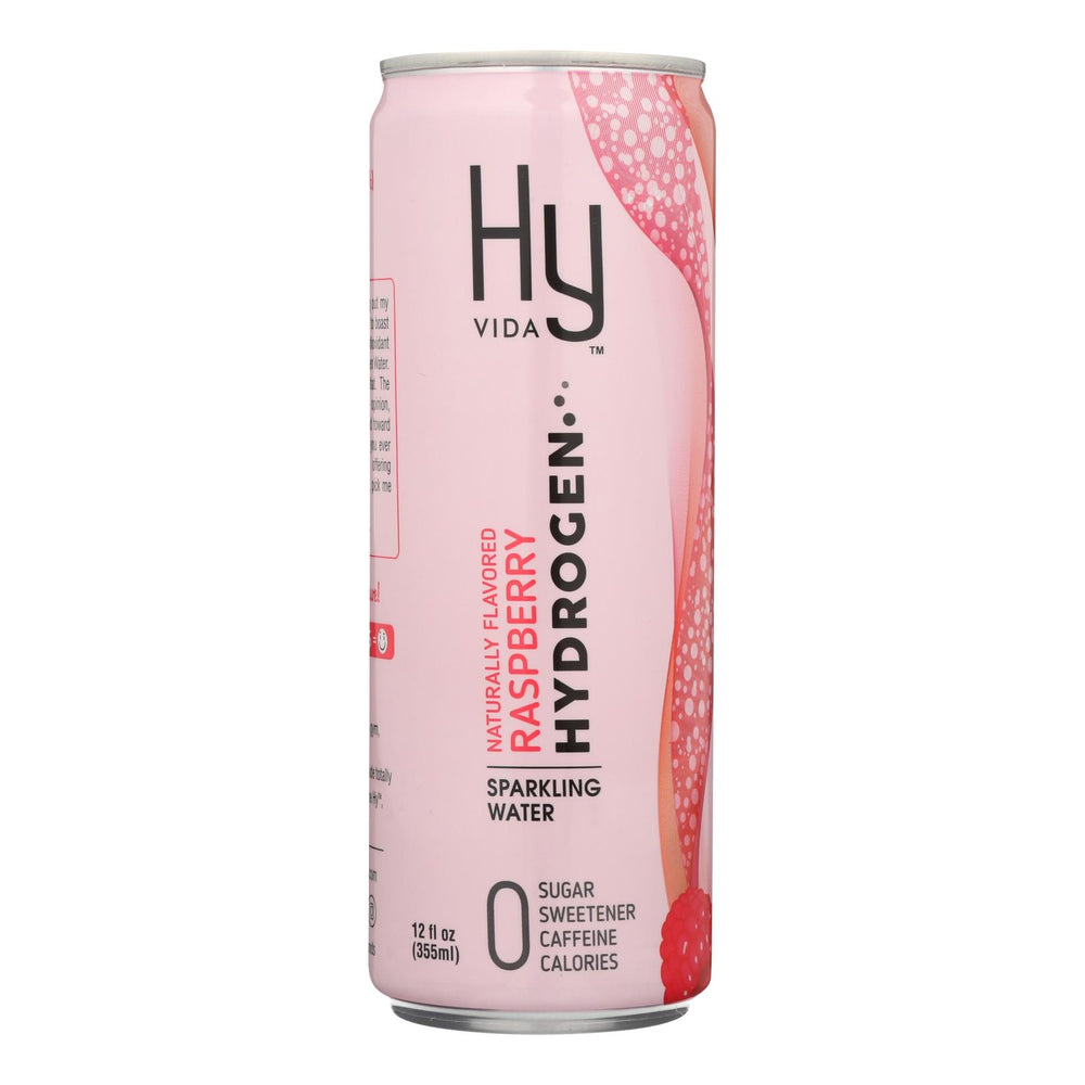 Hyvida Brands - Water Spk Hydro Raspberry - Case Of 12 - 12 Fz