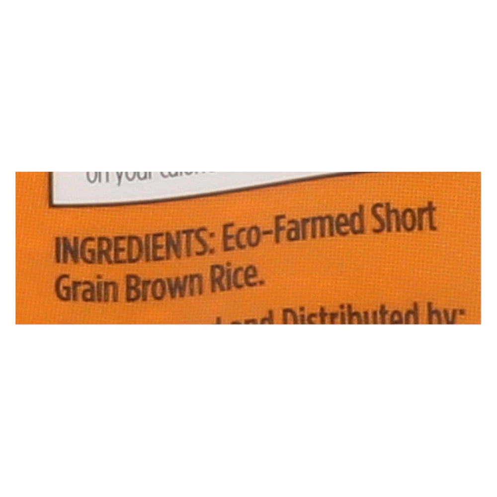 Lundberg Family Farms Organic Short Grain Brown Rice - Case Of 6 - 2 Lb.